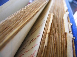 biblioteca 145 copy.jpg